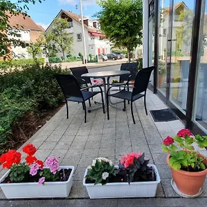 https://gemtliche-luxus-4-zi-im-herzen-von-heidelberg-whg2a.hotelsheidelberg.net